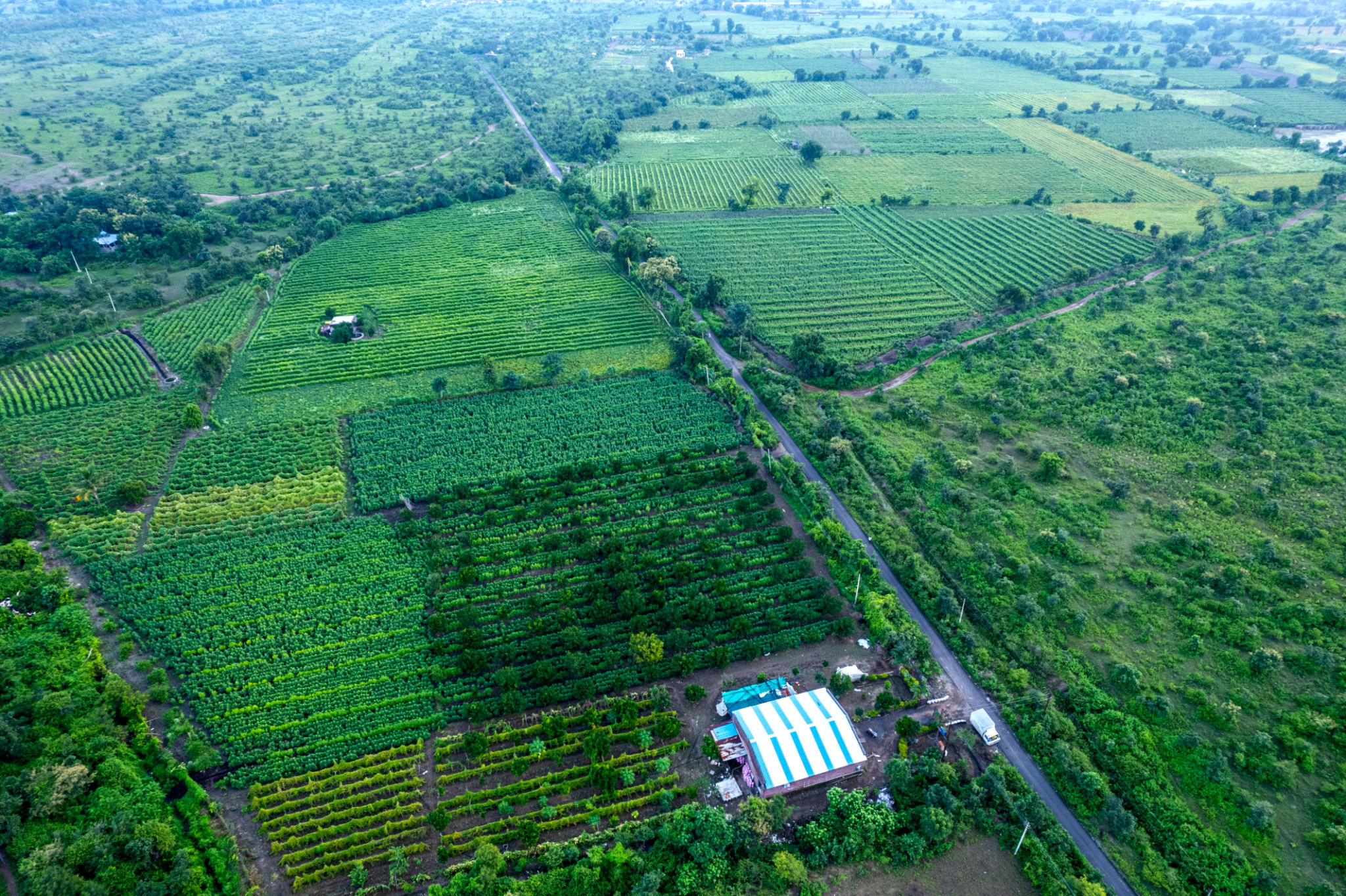 BK-Agro Suran Farming